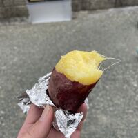 ブログ画像