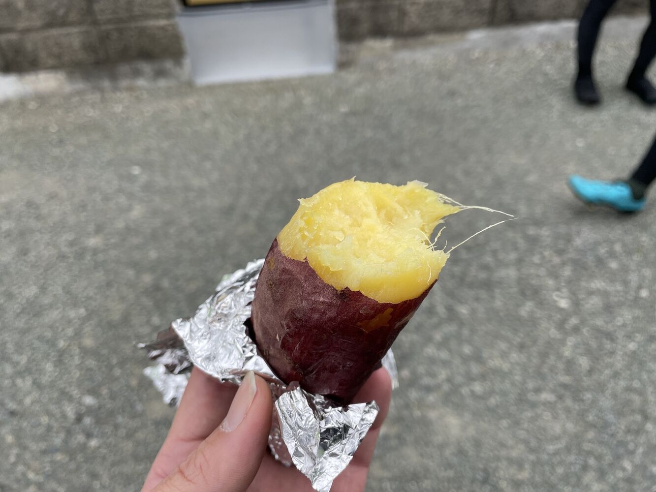 ブログ画像